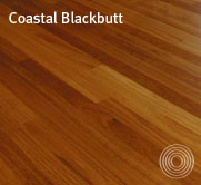 Coastal Blackbutt