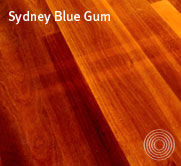 Sydney Blue Gum